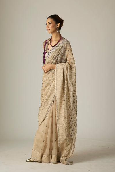 TOOSH ORGANZA SAREE SET (3 PCS)