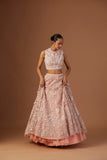 BLUSH TULLE NET 3D EMBROIDERY LEHENGA SET(4 PCS)