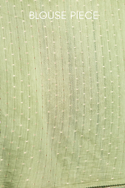 PISTA GREEN CHANDERI EMBROIDERED SAREE (1 PC)
