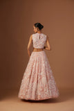 BLUSH TULLE NET 3D EMBROIDERY LEHENGA SET(4 PCS)