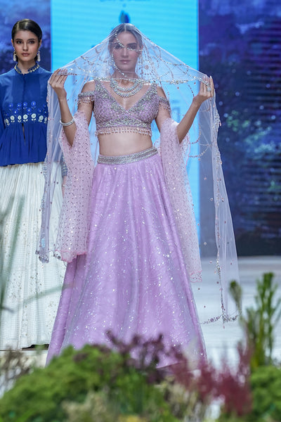 Lilac Tulle Net Skirt & Blouse ( Fa-54)