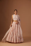 BLUSH TULLE NET 3D EMBROIDERY LEHENGA SET(4 PCS)