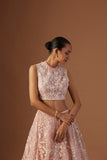 BLUSH TULLE NET 3D EMBROIDERY LEHENGA SET(4 PCS)