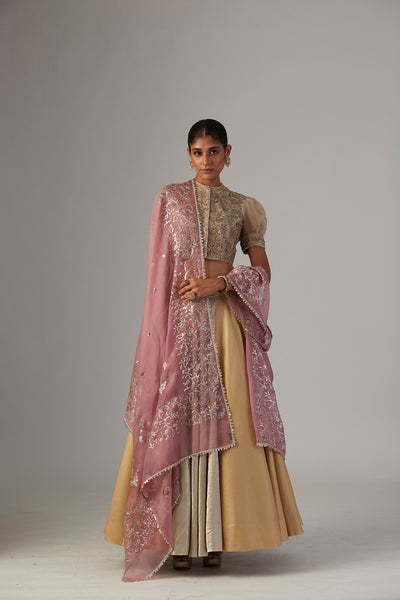 GOLD & SILVER BROCADE TISSUE LEHENGA (1 PC)