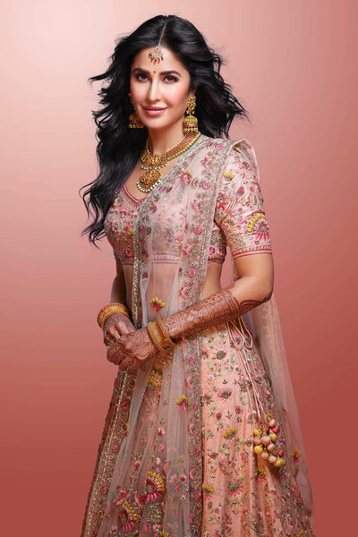 Spectacular Blush Embroidered Lehanga Set (sk-13 A)