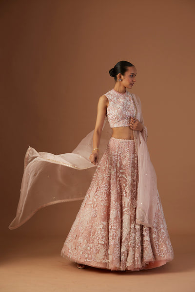 BLUSH TULLE NET 3D EMBROIDERY LEHENGA SET(4 PCS)