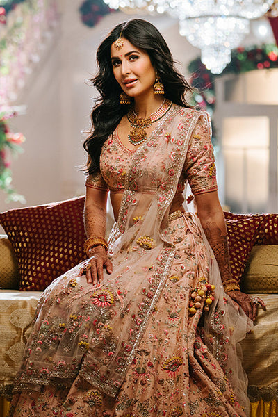 Spectacular Blush Embroidered Lehanga Set (sk-13 A)