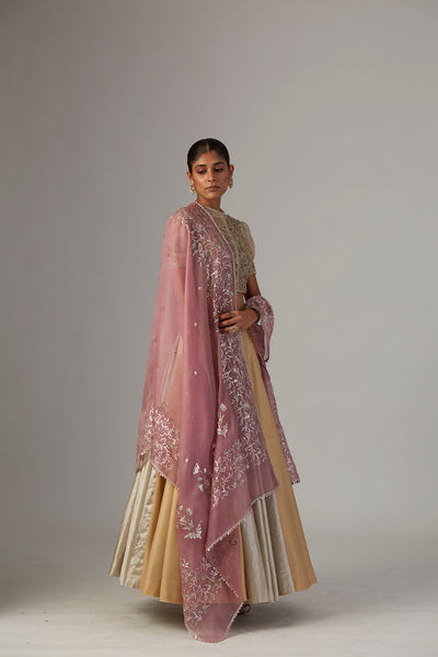 GOLD & SILVER BROCADE TISSUE LEHENGA (1 PC)