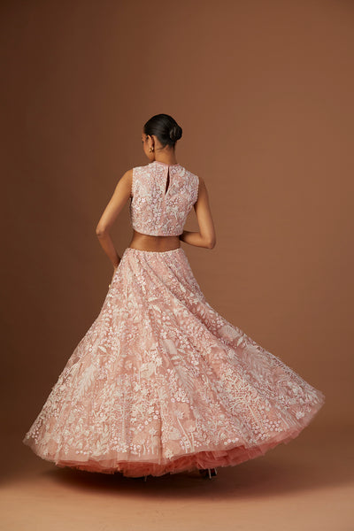 BLUSH TULLE NET 3D EMBROIDERY LEHENGA SET(4 PCS)