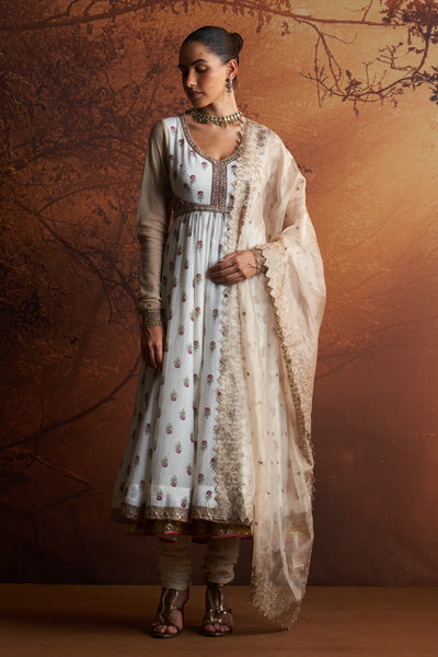TOOSH ORGANZA TISSUE EMBROIDERED DUPATTA (SNK-31)