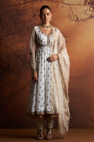 TOOSH ORGANZA TISSUE EMBROIDERED DUPATTA (SNK-31)