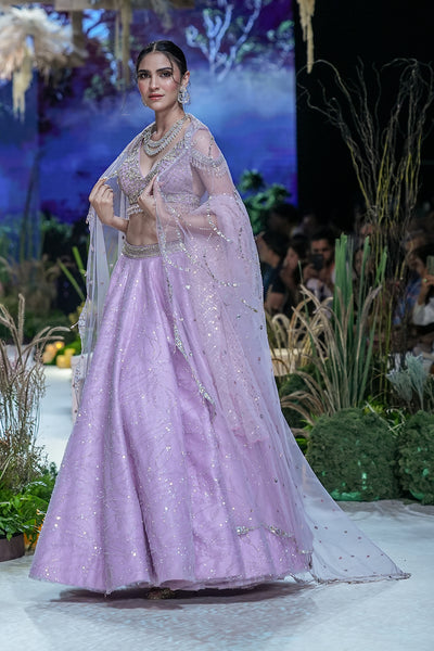 Lilac Tulle Net Skirt & Blouse ( Fa-54)