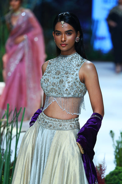 Gold & Silver Tissue Skirt With Silver Tissue Emb. Blouse  (Tl-124/bls, Tl-103/leh)