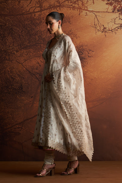 TOOSH ORGANZA TISSUE EMBROIDERED DUPATTA (SNK-31)