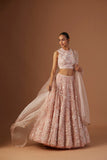 BLUSH TULLE NET 3D EMBROIDERY LEHENGA SET(4 PCS)