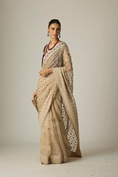 TOOSH ORGANZA SAREE SET (3 PCS)
