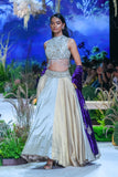 Gold & Silver Tissue Skirt With Silver Tissue Emb. Blouse  (Tl-124/bls, Tl-103/leh)