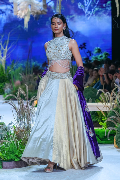 Gold & Silver Tissue Skirt With Silver Tissue Emb. Blouse  (Tl-124/bls, Tl-103/leh)