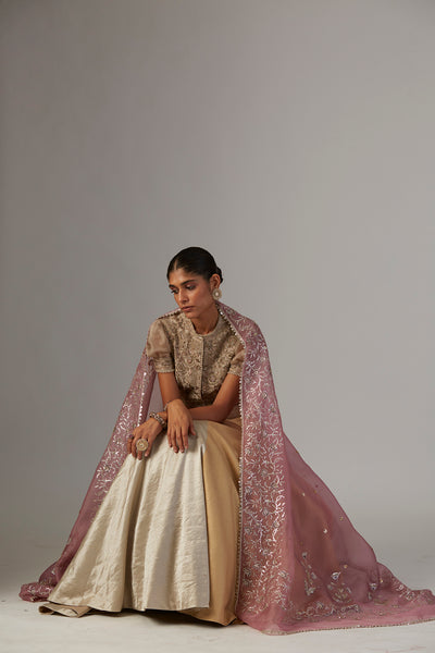 GOLD & SILVER BROCADE TISSUE LEHENGA (1 PC)