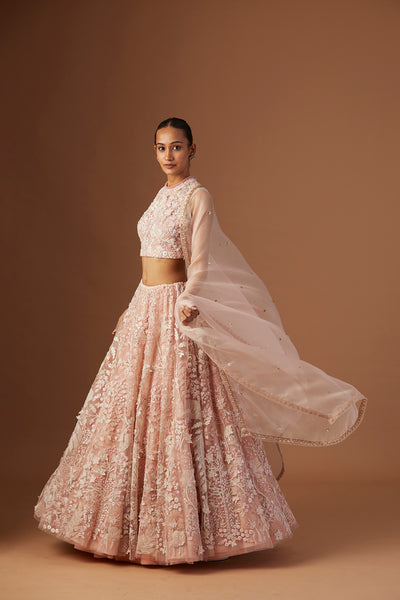 BLUSH TULLE NET 3D EMBROIDERY LEHENGA SET(4 PCS)