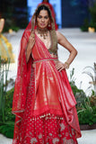 Olive Cotton Emb. Printed  Blouse With Red Dupion Emb. Lehenga And Dupatta, Red Tussar Banarasi Saree (Dmt-11/bls, Fb-32/leh, Nlb- 34012, Sl-03/dup)