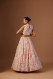 BLUSH TULLE NET 3D EMBROIDERY LEHENGA SET(4 PCS)
