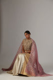 GOLD & SILVER BROCADE TISSUE LEHENGA (1 PC)