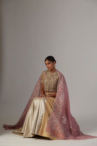 GOLD & SILVER BROCADE TISSUE LEHENGA (1 PC)