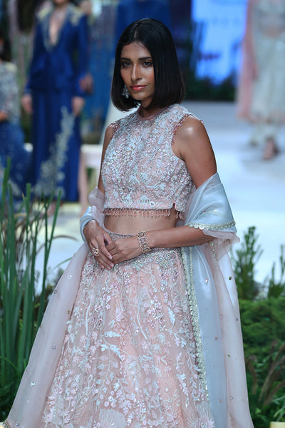 Blush 3d Emb. Tulle Net Crop Top With Lehenga And Old Rose Organza Dupaata, With Silver Organza  Emb. Dupatta ( Wd-03/skt +crn, Wd-03/dup, Wd-03a/bls, Wd-02d/dup)