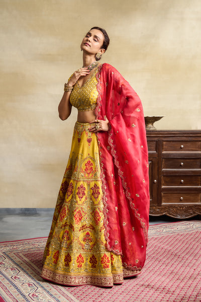 YELLOW HEAVY EMBROIDERED LEHENGA SET (FB-33)