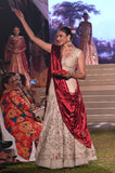 Toosh embroidered lehenga set  (KZ-15A)