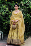 An Yellow gota embroidered Anarkali set (SK-32)