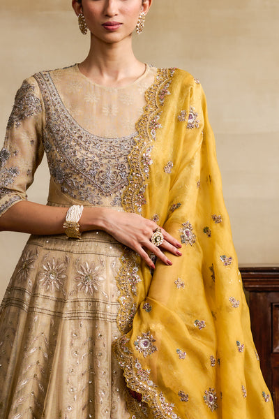 YELLOW SILK ORGANZA EMBROIDERED DUPATTA ( FB-38A)