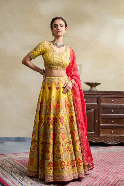 YELLOW HEAVY EMBROIDERED LEHENGA SET (FB-33)