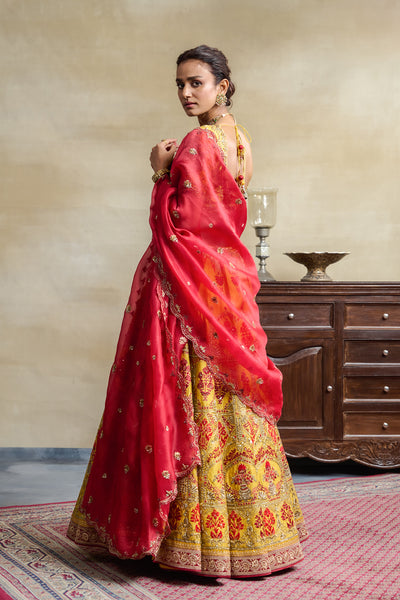 YELLOW HEAVY EMBROIDERED LEHENGA SET (FB-33)
