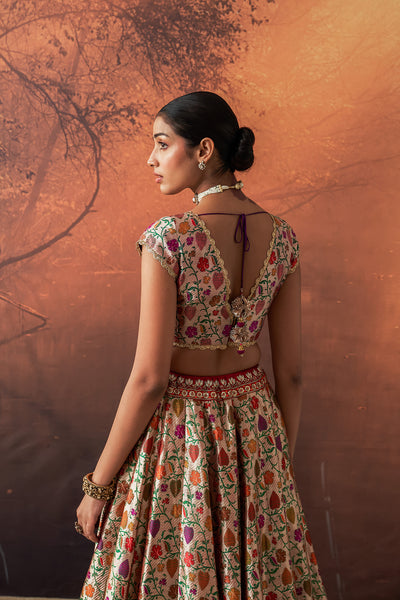 MULTICOLOUR KIMKHWA BORCADE EMB. LEHENGA SET(EVO-05) (5 PCS)