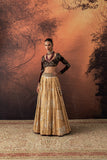 GOLD SILK TISSUE PRINTED & EMB. LEHENGA SET (EVO-07) (4 PCS)