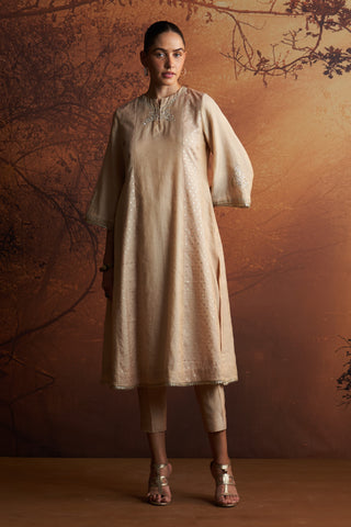 GOLD TISSUE AND BUTI EMBROIDERED KURTA PAIRED WITH PANTS  (SE-01B)