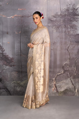 SILVER & GOLD TISSUE SAREE (2 PCS)