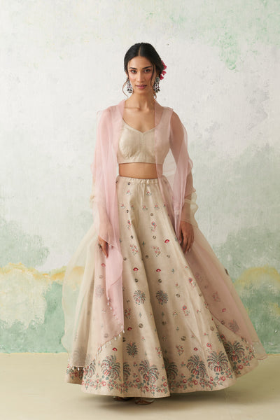 TOOSH & SOFT PINK DUPION PTD. WITH HAND KASHMIRI EMB. LEHENGA SET (4 PCS)