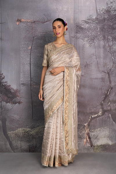 SILVER & GOLD TISSUE SAREE (2 PCS)