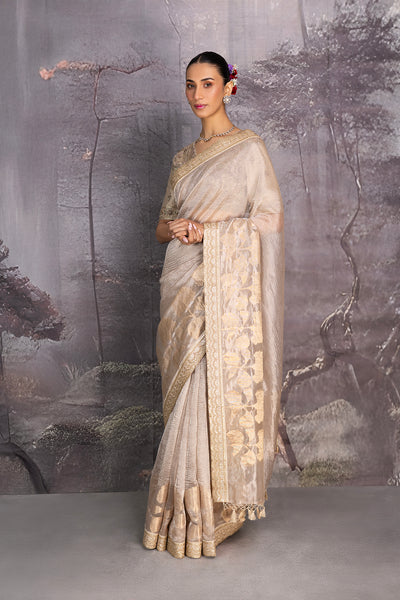 SILVER & GOLD TISSUE SAREE (2 PCS)