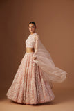 BLUSH TULLE NET 3D EMBROIDERY LEHENGA SET(WD-03/SKT + CRN, WD-03A/BLS, W-03/DUP)