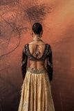 GOLD SILK TISSUE PRINTED & EMB. LEHENGA SET (EVO-07) (4 PCS)
