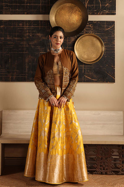 AMBER GLOW BANARASI BROCADE EMBROIDERED LEHENGA (1 PC)