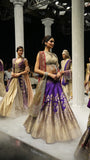 PURPLE BANARASI BROCADE LEHENGA PAIRED WITH A TOOSH EMBROIDERED BLOUSE, TOOSH EMB CRUSHED DUPATTA, AND RED EMBROIDERED DUPATTA.(4PCS)