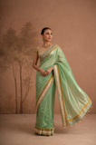 SAGE GREEN TISSUE SAREE WITH EMBROIDERED BORDER AND BLOUSE PIECE (2PCS)