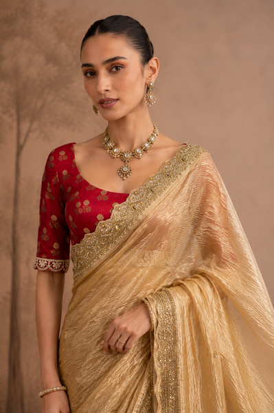CHAMPAGNE GOLD TISSUE EMBROIDERED SAREE WITH BLOUSE PIECE (2PCS)