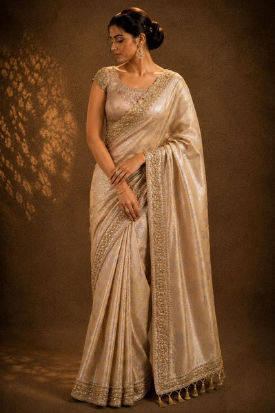 Woman wearing a traditional saree with intricate designs against a brown background