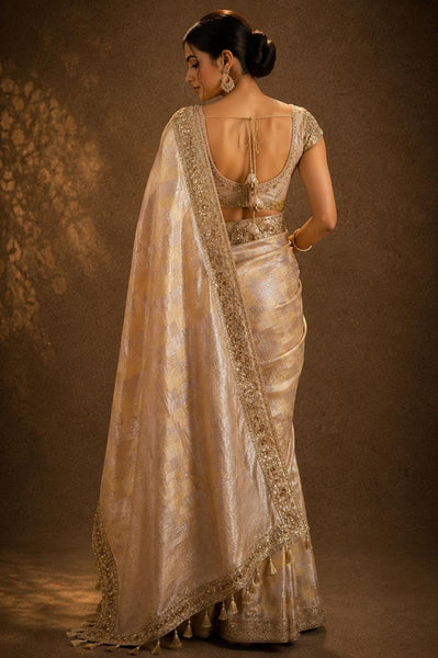 Woman wearing a gold saree with a matching blouse against a brown background